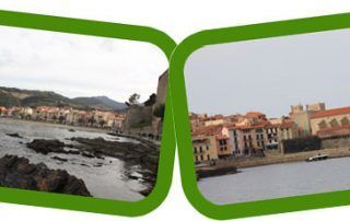 Excursión de día a Carcassone y Collioure