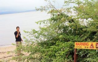 Cocodrilos en playas de Cape Tripulation
