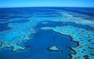 Panorámica de la gran barrera de coral