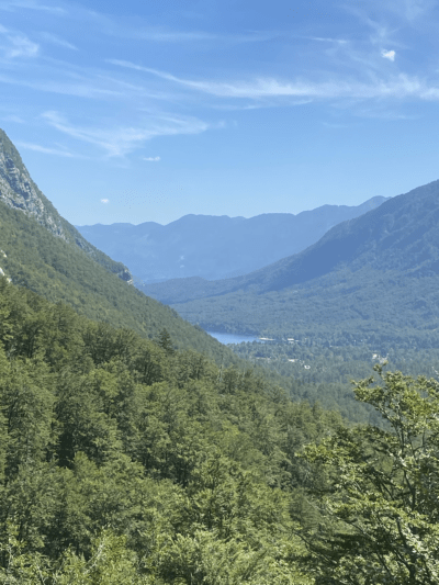 Valle alrededor del lago Bohinj