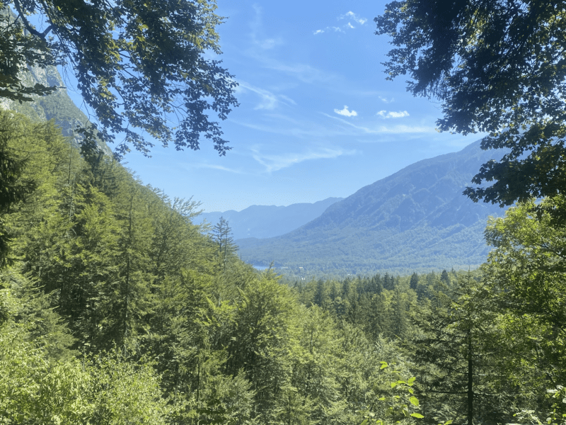 Valle del lago Bohinj