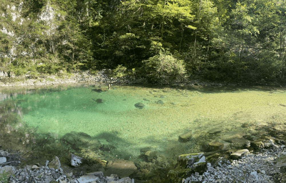 Espectacular río Radovna