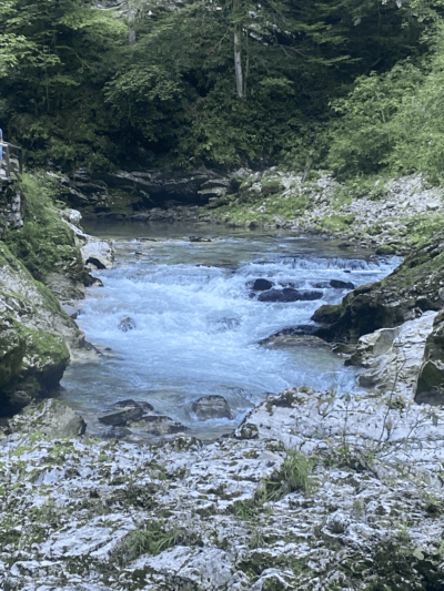 Garganta de Vintgar, naturaleza en estado puro