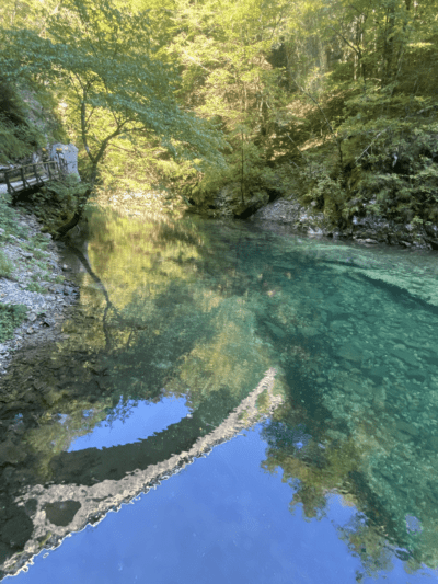 Reflejos en el agua del río Radovna