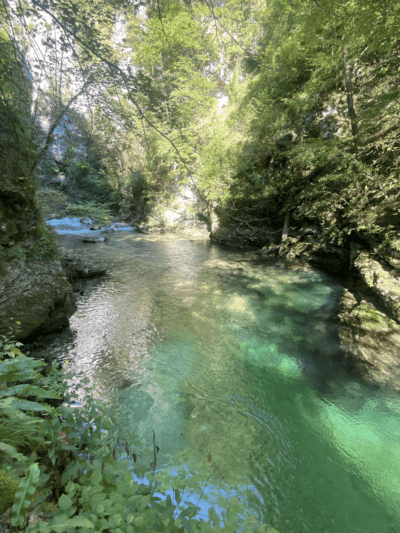 Río Radovna
