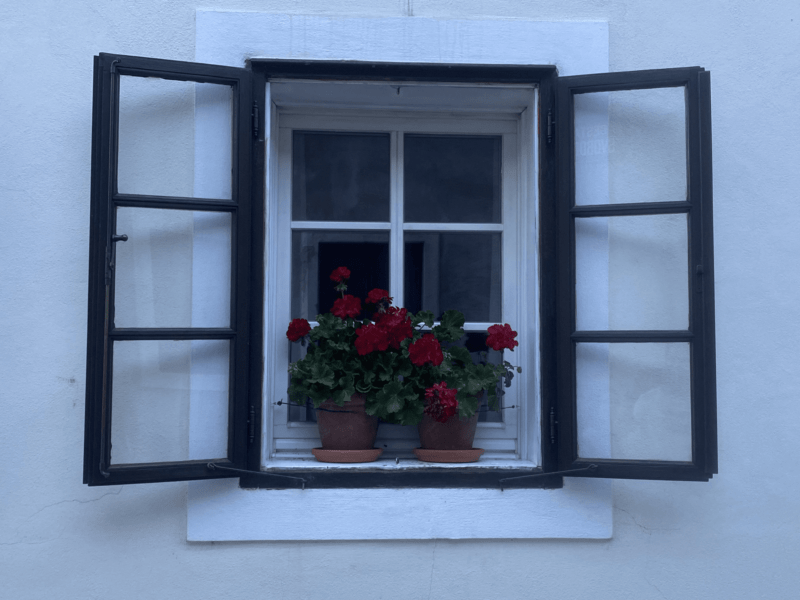 Ventana en Radovljika