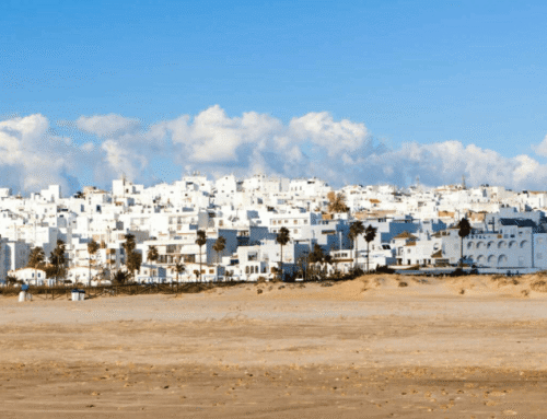 Qué hacer en Conil de la Frontera: guía para disfrutar al máximo de este rincón del sur